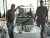 (07/19/2014) - Nice Striped Bass